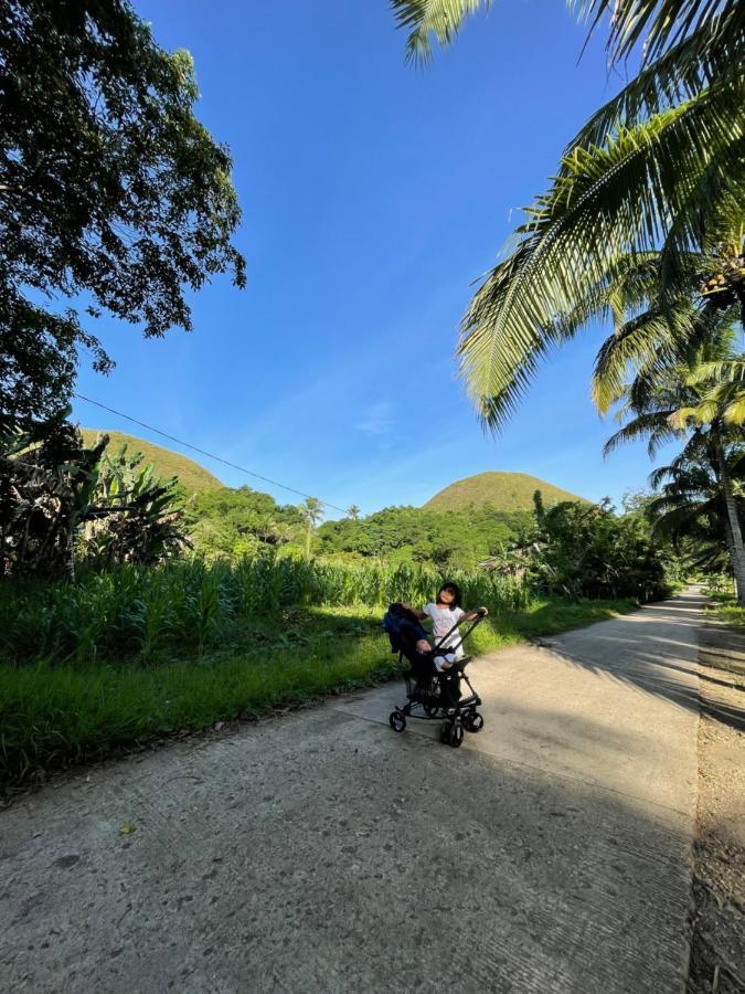Casa Aguelo Chocolate Hills Bed & Breakfast Carmen  Exterior photo