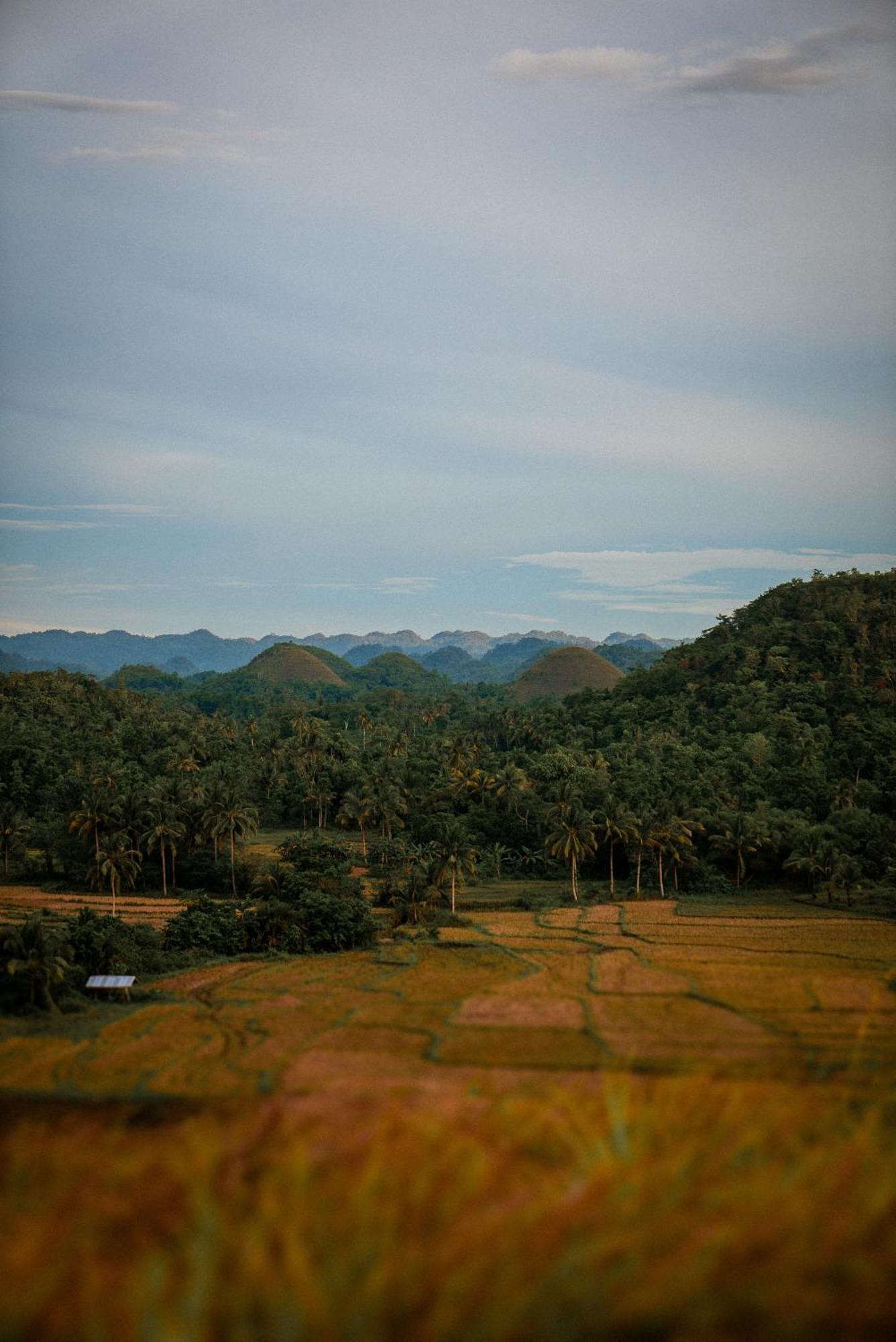 Casa Aguelo Chocolate Hills Bed & Breakfast Carmen  Exterior photo